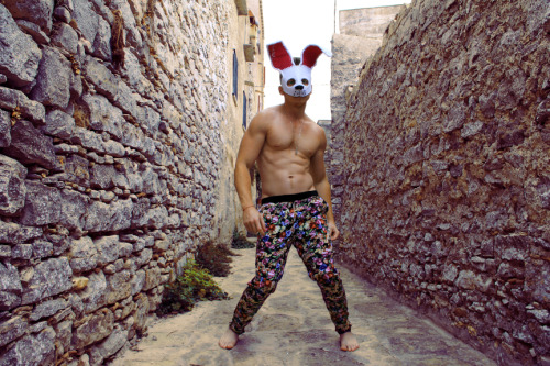 Porn ROCCO - the Sicilian Hare ♥  AlexanderGuerra.com photos