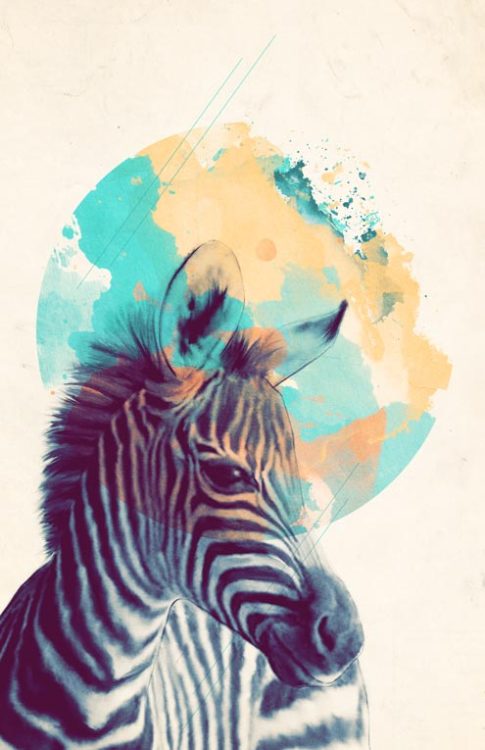 fer1972:  Amy Hamilton 1. Smart Owl 2. Dreaming Zebra 