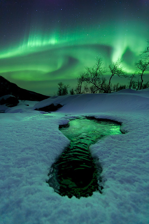 morgondagg:  “Bigfoot” by Arild Heitmann