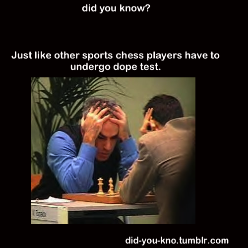 did-you-kno:  Source 