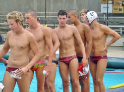 kitdraydur:  Colorful speedos  I love water