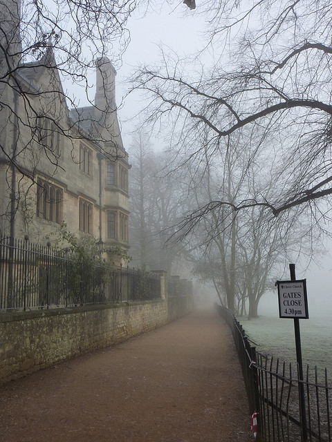 beautifuloxford:  Christ Church Meadow, Oxford by mrtom on Flickr.