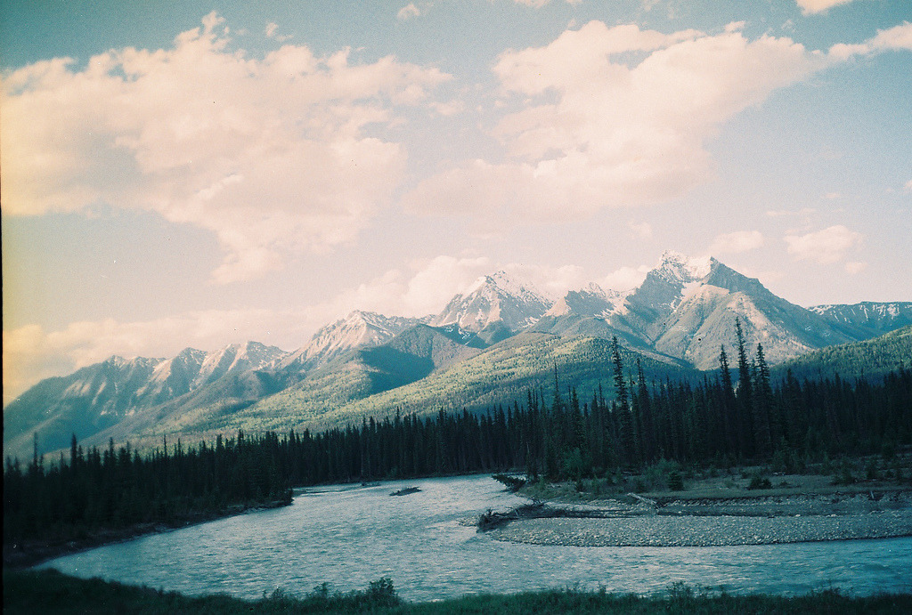 new-gold-dawn:  ._. 