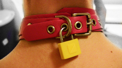 VISIT TOYDIRTY.COM
