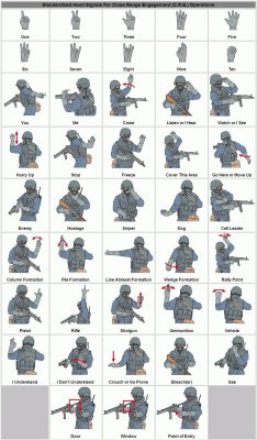 joukehainen:  amuseoffirebane:  rileylaroux:  darthhermitcrab:  frostygears:   happyhippyspookydrift:   Military Sign Language   YES, this is very relevant to my interests…   HUGE pet peeve of mine, I see it a lot in TV shows. The troops are walking