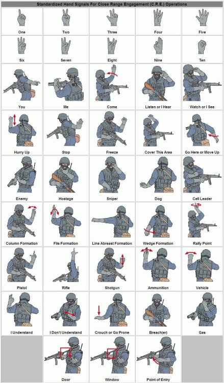 happyhippyspookydrift:Military Sign Language