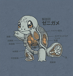 scuishi.tumblr.com/post/50205727643/