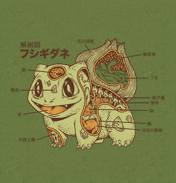 scuishi.tumblr.com/post/50205727643/