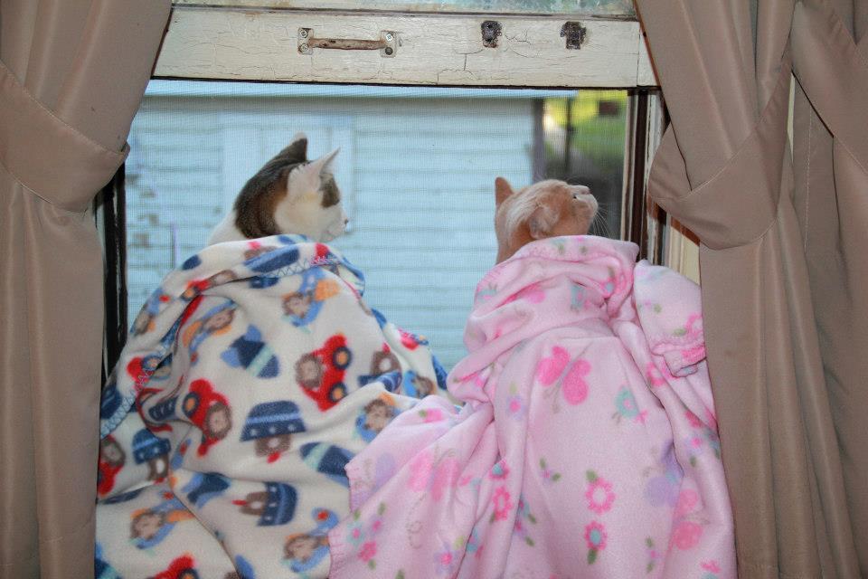 Winter Bird Watching
Photo by ©Brother Toby