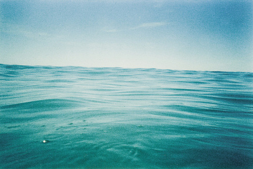 frolickingfeathers:(by luana magalhães.)
