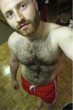 furmaniac:  Furry Cub in Red Shorts 