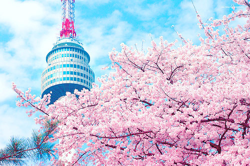 girl-in-vintage-shoes:Namsan Tower ♥ Seoul