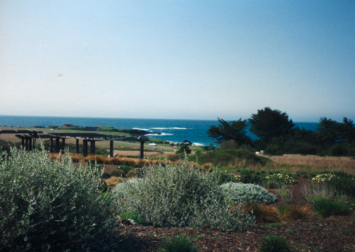 Mendocino CA, July 1992