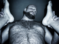 inappropriategay:  succumbere:  legs up 