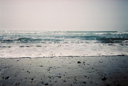 amnvsia:  Oceanside, Oregon by wayne denman on Flickr. 