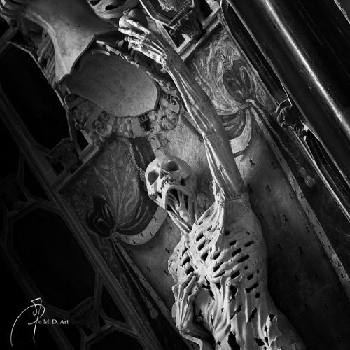 Transi by *MD-Arts