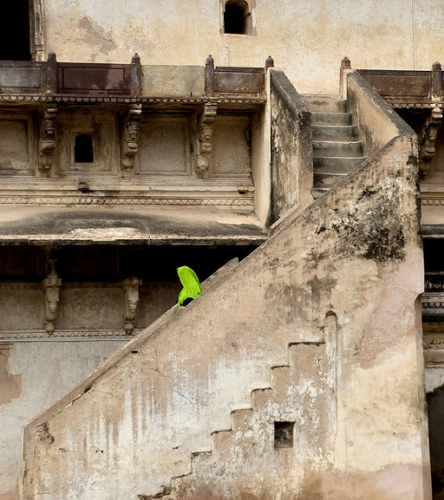 t-a-h-i-t-i:Temple Orchha-India by Alyson M. on Flickr.