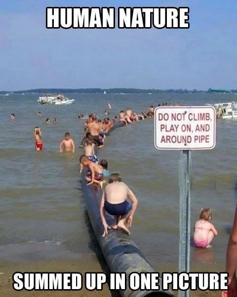 the-absolute-funniest-posts:  Follow this blog, you’ll love it on your dashboard!