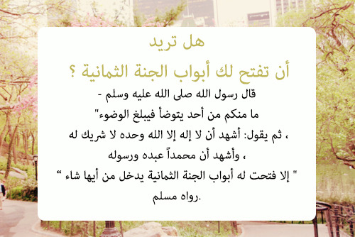 ~ابتهاج روح