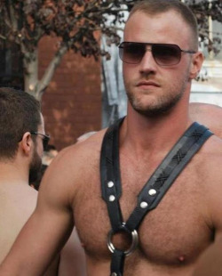 Nipples and harness