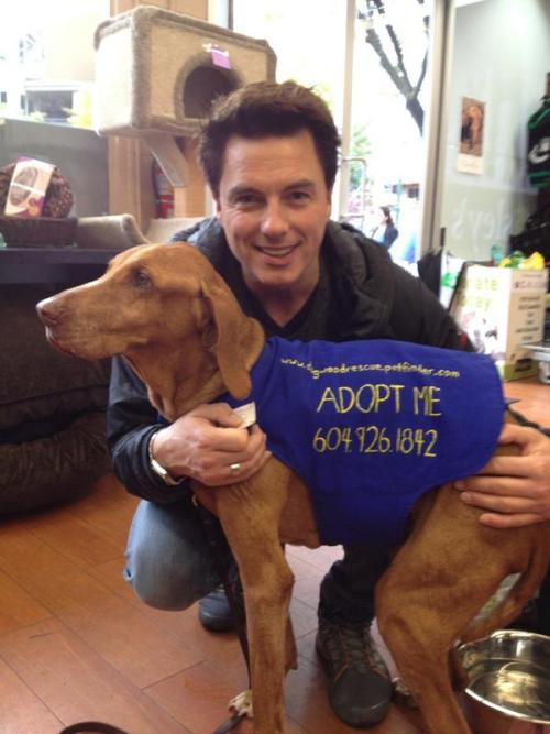 firebella: John Barrowman News ‏@Team_Barrowman Met Rusty at a doggie rescue in VAncouver old do