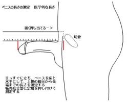 How to measure oneself: Can&rsquo;t read Japanese, but this may explain why guys commonly say they are bigger than they are.  That or most guys just lie.  (To me size doesn&rsquo;t really matter if I like the guy anyway.)