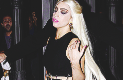 Your Diva's Heart