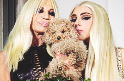 Your Diva's Heart