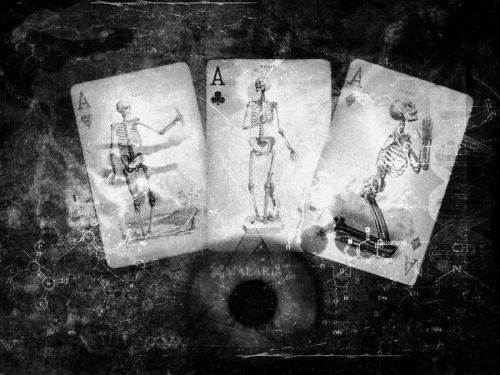 My cards have been quite curious lately. I’ll read them again soon…