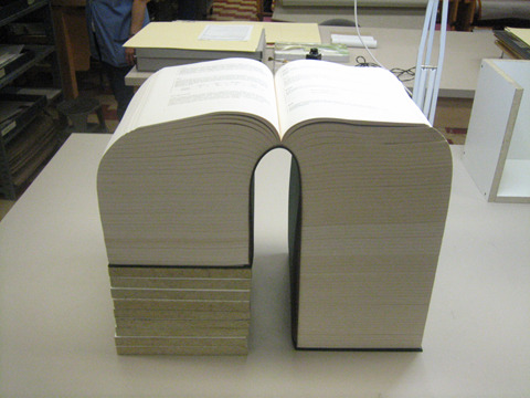 thespookyfullmetalpsycho:  the-blogging-alchemist:  fullmetalbenders:  airbendertenzin:  a book of my ships   volume one  the abridged version  pocket sized