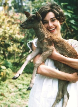 Audrey Hepburn With Her Pet Deer, Ip.