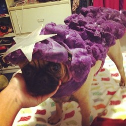 acid-washed-thoughts:  my Lumpy Space Princess