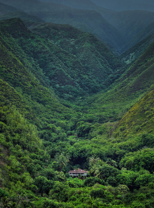 forestland: oceanizing: SF_ Wow want more posts like this? check out my blog!