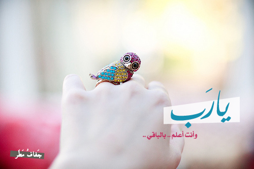 جَفافُ مَطَرْ