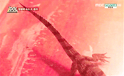  1015: things you will find in mblaq’s dorm ((alligator, lizard, snake, cosmetics,