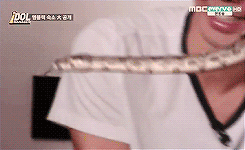  1015: things you will find in mblaq’s dorm ((alligator, lizard, snake, cosmetics,