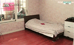  1015: things you will find in mblaq’s dorm ((alligator, lizard, snake, cosmetics,