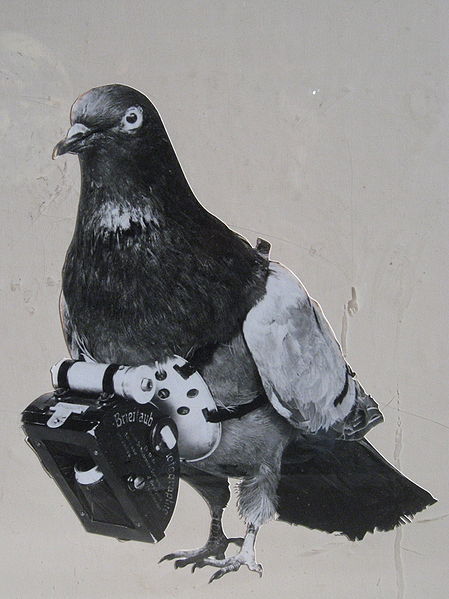 Julius Neubronner discovered in 1908 a miniature pigeon camera activated by a timing mechanism, this is what innovation means.