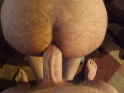 furrycubkc:  dconor69:  filling up a furry ass.  This photograph made my penis extremely erect. 