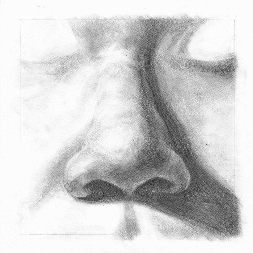 Assignment: front, &frac34;, and side view of my noseMedium: graphite