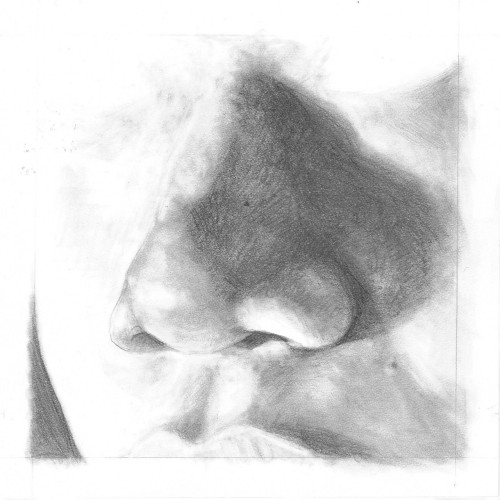 Assignment: front, &frac34;, and side view of my noseMedium: graphite