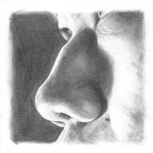 Assignment: front, &frac34;, and side view of my noseMedium: graphite