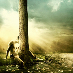 martinstranka:  Photo “If I Was” by Martin Stranka http://www.martinstranka.com 