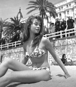 dianus:  Brigitte Bardot. Cannes 1953. 