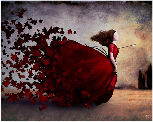 Amour by Christian Schloe