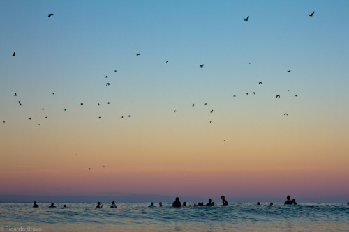 I'd Rather Be Surfing...