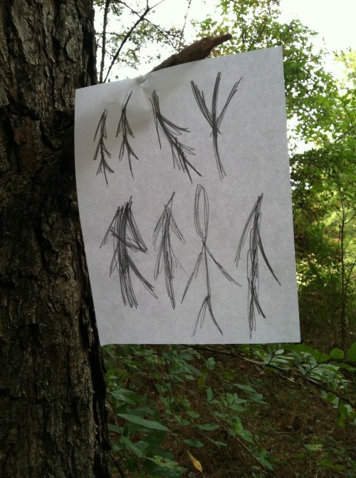 thranduilsenpai:  sexygingerninja:IN  kitsunecoffee:  alfredtheboywonder:  i just introduced my brother and his friends to slenderman they played the game and proceeded to freak the fuck out now they’re playing in the woods so i made these and stapled