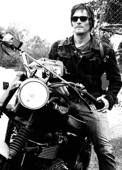 NORMAN REEDUS