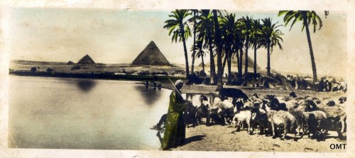 vintagemarlene:vintage postcards of egypt, circa 1920 (www.junksnapshots.blogspot.com)