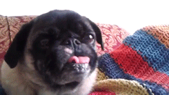 WHEN MY MOM SENDS ME FOOD